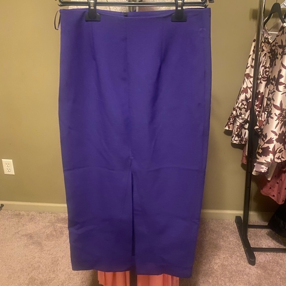 Zara High Waisted Skirt - Picture 5 of 6